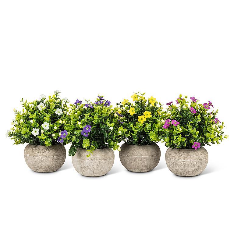 Small Flowering Plant Pot